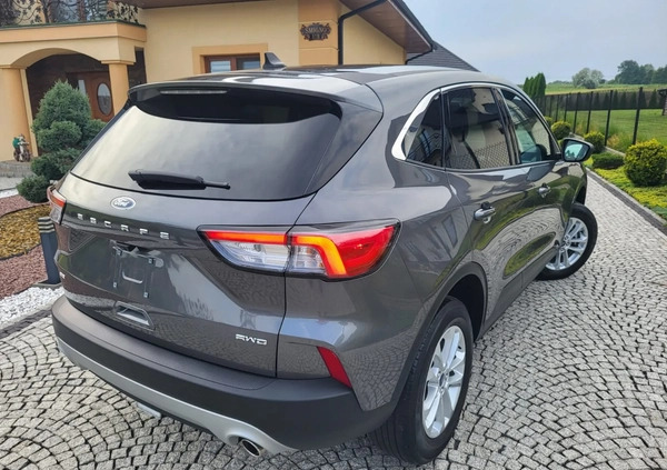 Ford Kuga cena 81500 przebieg: 38000, rok produkcji 2021 z Tarnów małe 529